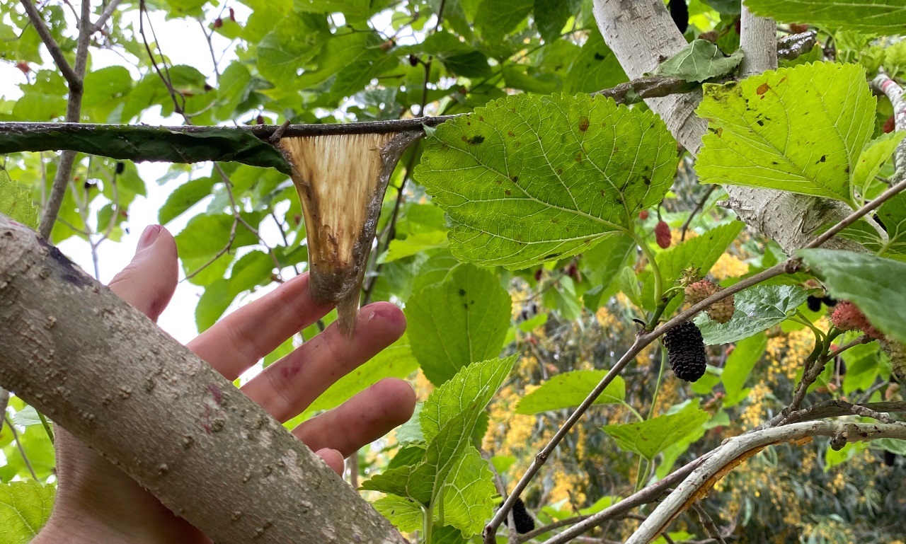 Cyprus spring bird protection camp 2023 - Bild 3